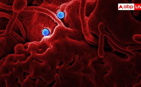 मिल गया कैंसर का इलाज! ट्यूमर को सीधे खत्म करेगी ये थेरेपी, नहीं होगी इम्यून सिस्टम की जरूरत