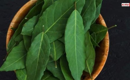 इन बीमारियों का काल है नीम की कोमल पत्तियां, इस टाइम करें सेवन