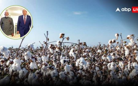 US Tariff on India: ट्रंप के टैरिफ वॉर के बीच भारत ने लिया बड़ा फैसला, अब कॉटन का इम्पोर्ट 3 महीने के लिए रहेगा ड्यूटी फ्री