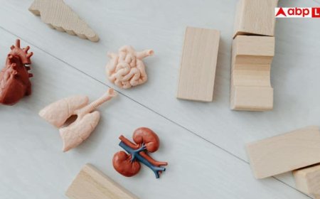 किडनी डैमेज हो गई तो सुबह उठते ही दिखते हैं ये 5 लक्षण, 99 पर्सेंट लोग कर देते हैं इग्नोर