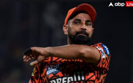 IPL 2026 में SRH छोड़कर नई टीम चुनेंगे मोहम्मद शमी, ऋषभ पंत की टीम में बनाएंगे जगह?