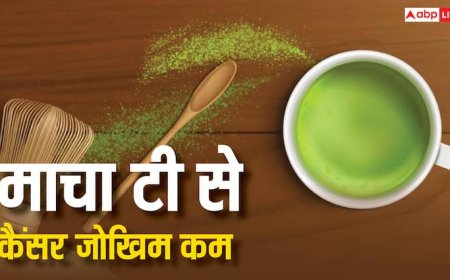 क्या है जापान की माचा टी, जिससे कम हो जाता है कैंसर का खतरा; रिसर्च में दावा