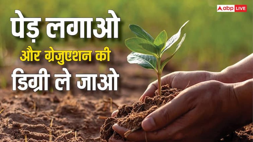 ग्रैजुएशन की डिग्री चाहिए तो यहां लगा दें 10 पेड़, सरकार ने खुद बनाया यह है नियम