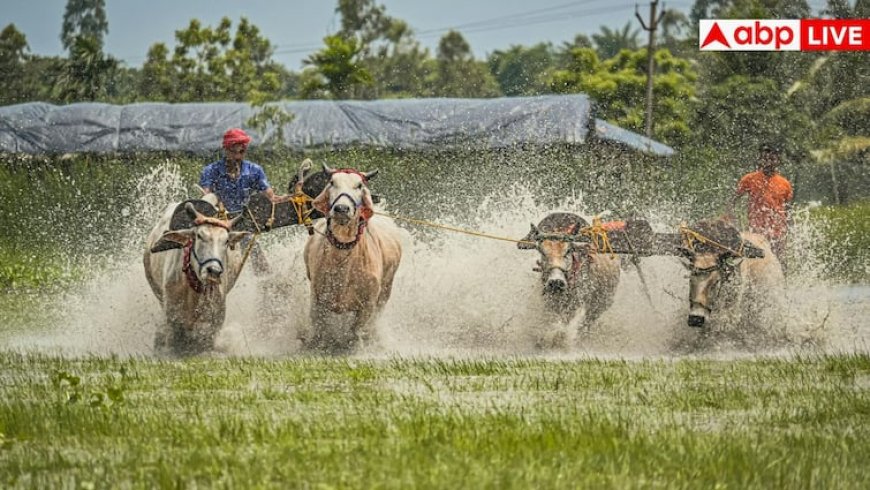 ये हैं भारत के सबसे रहस्यमयी गांव, जहां आने के लिए मरते हैं विदेशी