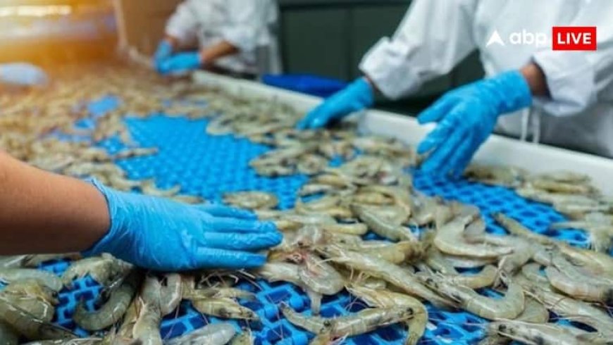 US Tariff on Shrimp Exports: ट्रंप के टैरिफ से भारत के 2 अरब डॉलर के झींगा निर्यात पर बड़ा संकट, मोदी सरकार से की ये अपील