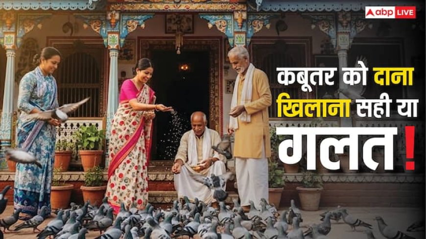 Vastu Shastra: कबूतरों को दाना डालने के अद्भुत लाभ! जानिए इसके फायदे और धार्मिक महत्व के बारे में