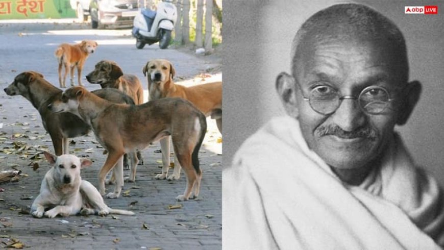 'कम पाप को चुनना पड़ेगा, ताकि बड़े पाप से बच सकें', 60 आवारा कुत्तों को जान से मारने की बात पर क्यों ऐसा बोले थे महात्मा गांधी?