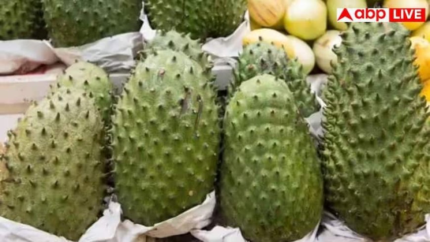 दक्षिण भारत में मिलने वाली इन पत्तियों से खत्म हो जाता है कैंसर? अमेरिकन रिसर्चर्स ने कर दिया बड़ा खुलासा