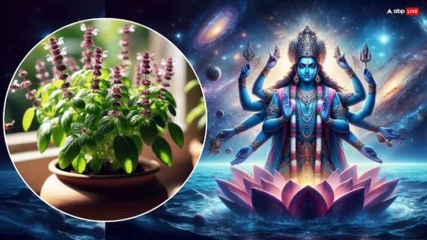 Aja Ekadashi 2025 Paran: अजा एकादशी के व्रत पारण में क्यों खाते हैं तुलसी ?