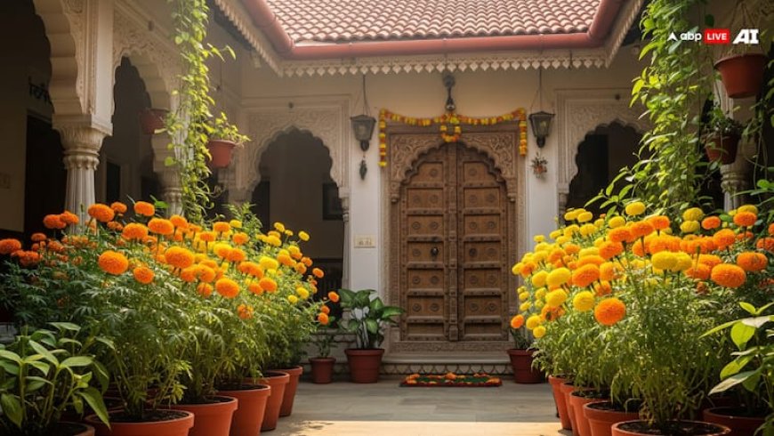 Vastu Tips: वास्तु के अनुसार घर में गेंदे के फूल को सही दिशा में लगाएं, धन-समृद्धि और खुशहाली पाएं!