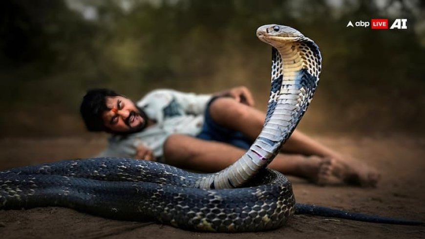 सांप आ जाए आपके सामने तो क्या करें, कैसे बचाएं अपनी जान?