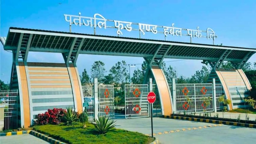 पतंजलि का पैकेजिंग मॉडल कैसे बन रहा है उद्योग में गेम-चेंजर? जानिए