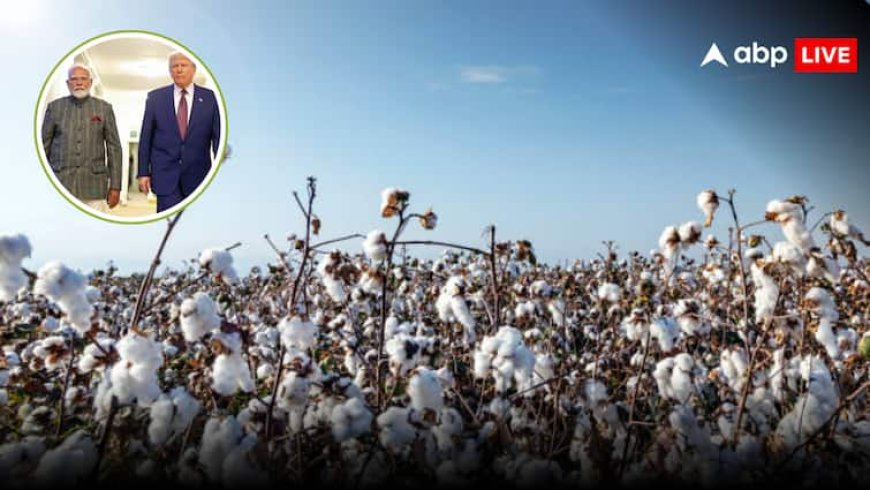 US Tariff on India: ट्रंप के टैरिफ वॉर के बीच भारत ने लिया बड़ा फैसला, अब कॉटन का इम्पोर्ट 3 महीने के लिए रहेगा ड्यूटी फ्री