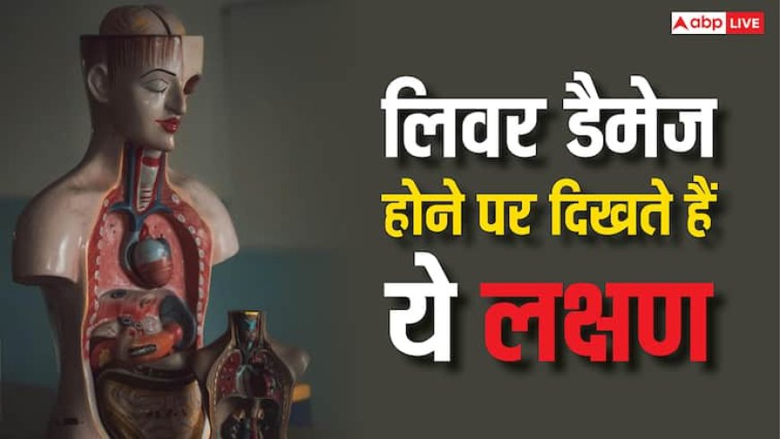 हाई ब्लड प्रेशर के साथ नजर आते हैं लिवर डैमेज के ये 5 लक्षण, भूलकर भी न करें इग्नोर