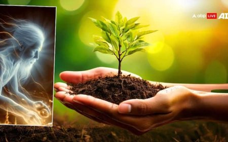 Pitru Paksha 2025: पितृ पक्ष में लगाएं ये पौधे, पितृ होंगे प्रसन्न, मिलेगा आशीर्वाद