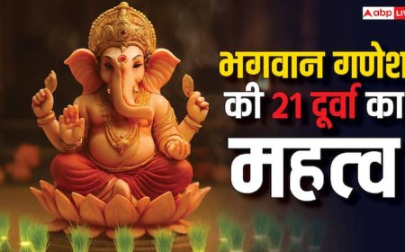 Ganpati 21 Durva Significance: गणपति को 21 दूर्वा चढ़ाने का रहस्य! जानें विघ्न दूर करने और जीवन में खुशहाली पाने का अचूक उपाय