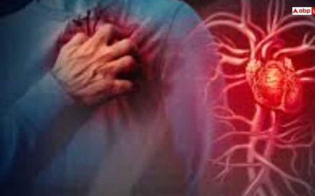 हार्ट ब्लॉकेज खोलने के लिए खाएं ये 7 बीज, दिल का दौरा पड़ने का खतरा भी होगा कम