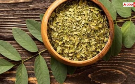 बासी मुंह चबाएं ये फ्री में मिलने वाला पत्ता, कोलेस्ट्रॉल से लेकर शुगर रहेगा कंट्रोल