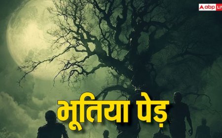 Bhoot on Trees: पीपल, बरगद और इमली पेड़ के पास रात में क्यों नहीं जाते, क्या होता है भूतों का वास