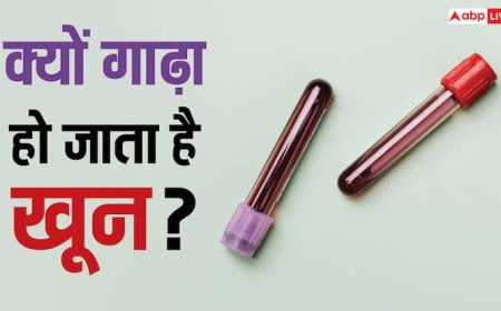 इन चीजों की कमी से गाढ़ा होने लगता है खून, बढ़ जाता है इन बीमारियों का खतरा