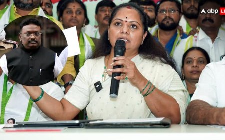 ‘जो भी पार्टी के खिलाफ जाएगा, उसे...’, के. कविता की BRS से बर्खास्तगी पर क्या बोले पार्टी के बड़े नेता