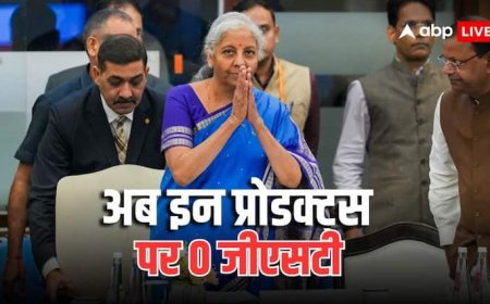 इन चीजों पर अब नहीं लगेगा कोई टैक्स, दूध-पनीर से लेकर दवाओं तक सब GST से बाहर, यहां पढ़ें पूरी लिस्ट