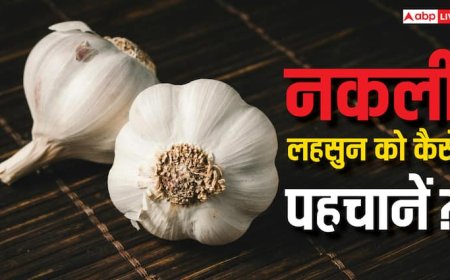 बाजार में बिक रहा सीमेंट से बना लहसुन, इसे कैसे पहचानें और यह सेहत के लिए कितना खतरनाक?