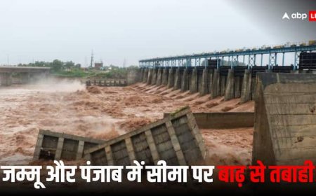 पंजाब और जम्मू की बाढ़ ने बढ़ाई भारत की टेंशन, PAK सीमा पर 110 किमी लंबी बाड़ और BSF की 90 चौकियां डैमेज