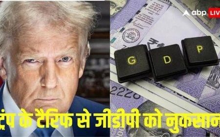 ट्रंप के टैरिफ का देश की जीडीपी पर दिखेगा असर, जानें इस साल कितना होगा नुकसान?