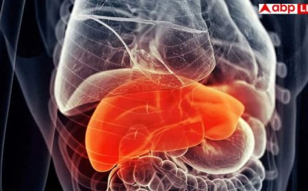फैटी लिवर के इन 3 मिथ पर आंखें बंद करके यकीन कर लेते हैं लोग, एम्स और हॉवर्ड के डॉक्टरों से जान लें सच्चाई