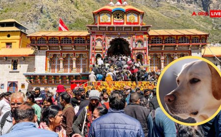 बद्रीनाथ धाम यहां कुत्ते क्यों नहीं भौंकते? रहस्यमय मंदिर और अद्भुत प्राकृतिक नियम!