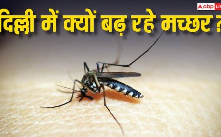 जनवरी से सितंबर तक दिल्ली में सबसे ज्यादा मिले मलेरिया के केस, यहां ज्यादा क्यों काट रहे मच्छर?