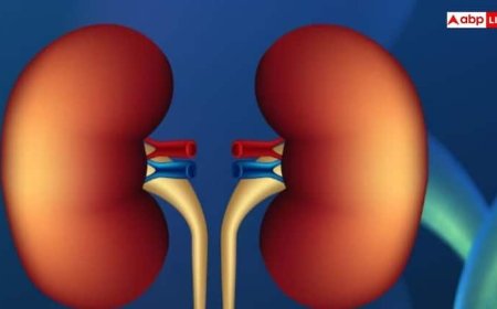 किडनी खराब होने पर ये संकेत आते हैं नजर, बिल्कुल नहीं करना चाहिए इग्नोर