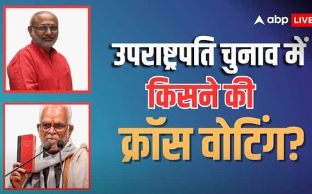 New Vice President: कौन हैं वो 15 विपक्षी सांसद, जिनके धोखे से चुनाव हार गए जस्टिस रेड्डी!