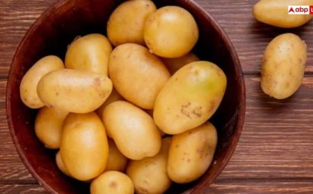 Diet Tips: डायबिटीज में आलू खाना सही या गलत? जानिए क्या कहते हैं डॉक्टर्स