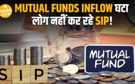 Equity Funds गिरे लेकिन Flexi Cap Funds ने मचाया धमाल | August Mutual Fund Report| Paisa Live