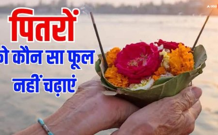 Pitru Pakha 2025: पितरों को भूल से भी न चढ़ाएं ये फूल, पूर्वज श्राद्ध नहीं करते स्वीकार