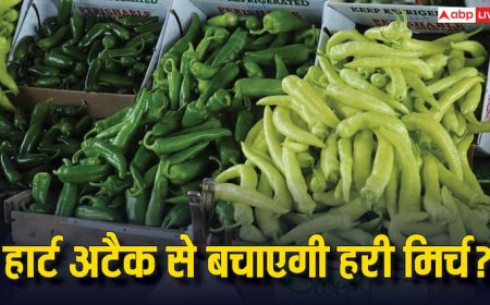 क्या हरी मिर्च खाने से कम होता है हार्ट अटैक का खतरा, डॉक्टर से जान लें यह बात कितनी सच?