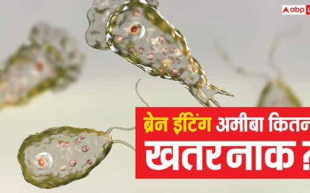 Brain Eating Amoeba: ब्रेन ईटिंग अमीबा से केरल में 5 की मौत, जानें यह कितना खतरनाक और बचने के तरीके?