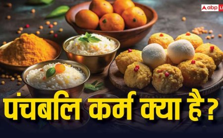 Pitru Paksha 2025: पंचबलि कर्म क्या होता है, किन 5 स्थान और 5 जीवों का है इसमें जिक्र