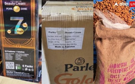 'ऑपरेशन डीप मैनिफेस्ट' जारी; मुंबई में DRI का बड़ा एक्शन, पाकिस्तान से आए 28 कंटेनर जब्त