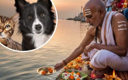 Pitru Paksha 2025: क्या पितृ पक्ष में जानवरों का श्राद्ध किया जाता है?