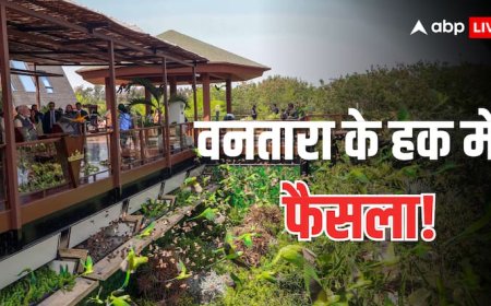 Vantara Sanctuary: 'जिस पर गर्व होना चाहिए, उस पर विवाद मत बनाओ', वनतारा मामले पर सुनवाई में याचिकाकर्ताओं से SC ने क्यों कही यह बात?