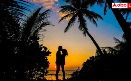 How Many Times Physical Relation in a Month: 30 दिन में कितनी बार फिजिकल रिलेशन बनाना फायदेमंद, इस पर क्या कहता है मेडिकल साइंस?