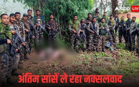 नक्सलियों ने हथियार छोड़ने का किया ऐलान, शांति वार्ता की कर रहे हैं मिन्नतें, जानें मोदी सरकार का रुख