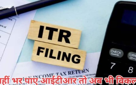 क्या आप 16 सितंबर तक नहीं फाइल कर पाए अपना आईटीआर? जानें अब क्या बच गया विकल्प