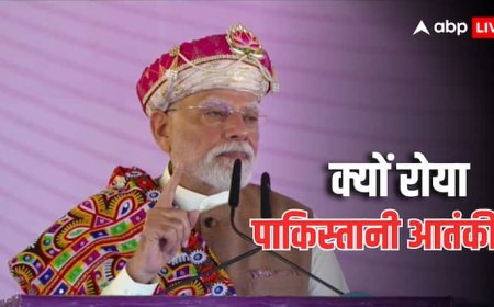 PM Modi On Jaish Commander: 'एक आतंकी ने रो-रोकर', जैश कमांडर के कबूलनामे पर PM मोदी ने अपने जन्मदिन पर क्या कहा? जानें