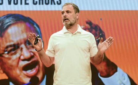 'सिर्फ 24 नाम हटे, मामले में FIR...', राहुल गांधी के अलंद में वोट चोरी के आरोपों पर कर्नाटक चुनाव आयुक्त ने बताया 'सच'