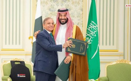 'अब तक 3 बड़ी शक्तियों ने मिलाया पाकिस्तान से हाथ...', सऊदी- PAK की डील पर एक्सपर्ट्स के बयानों से बढ़ी भारत की टेंशन