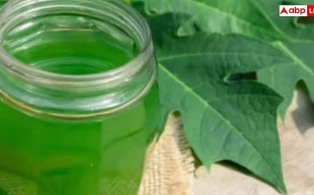 Papaya Leaf for Platelets: क्या पपीते के पत्ते से बढ़ा सकते हैं प्लेटलेट्स, जानिए क्या कहते हैं एक्सपर्ट?